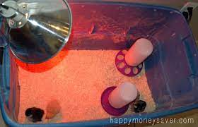 How To Raise Baby Chicks - A Beginners Guide With Pictures!