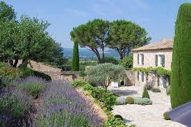 mas en provence lavender olive trees the cupressus pinus pinea stone pine gives pine nuts beautiful u paysagisme moderne jardin francais jardin maison