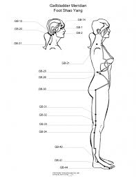 Gallbladder Meridian Meridian Massage Acupuncture