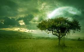We have a massive amount of desktop and mobile backgrounds. 50 Dream Wallpapers Free Download On Wallpapersafari