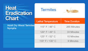 They are dangerous for your health. Does Heat Treatment Kill Termites