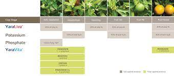 Maybe you would like to learn more about one of these? Citrus Fertilizer Program Recommended Fertilizers Yara United States