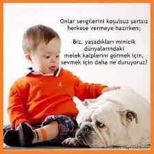 Cocuga Dair Hersey Panosundaki Pin