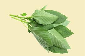 10 Amazing Health Benefits Of Molokhia Food Health Benefits Health Benefits Organic Fruits And Vegetables