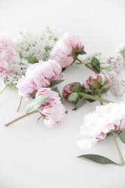 Lacewings Flowers Bloom Blossom Flower Wreath