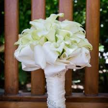 Located in the heart of santa clarita, the retreat is a rare find! 7 Here Comes The Bride Ideas Here Comes The Bride Wedding Isles Wedding Florist
