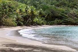 We did not find results for: Die Strande Dominica