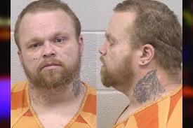 Ronald Shepherd — Paulding County Jail Bookings