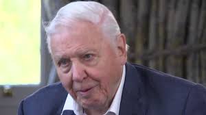 Ballroom: INT1 Ruth Denning holding her 'BAFTA' award2 Guest ? and... Stock  Footage Video