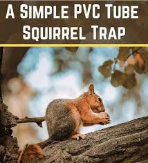 Trace the oil can on the wood and drill 2 holes, do the same on the can. 21 Diy Squirrel Trap How To Catch A Squirrel