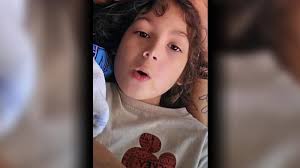 Man arrested for punching border patrol officer during LA protests,  Homeland Security Department says