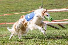 LGRA Race Meet