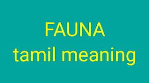 Meaning in the lives of the mexica/aztecs. Fauna Tamil Meaning Sasikumar Youtube