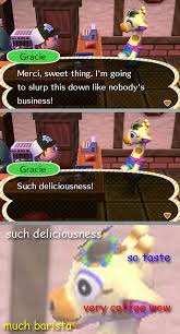 Alright Gracie Animal Crossing Funny Animal Crossing Animal Crossing Memes