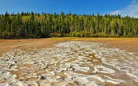 The agency has been concerned about the park — the world's second. Canada S Largest National Park Is Deteriorating