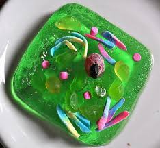 Plant cells (unlike animal cells) are surrounded by a thick, rigid cell wall. Se7en Edible Cell Edible Cell Project Cell Model