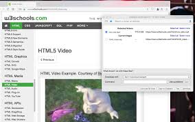 Easy Video Downloader