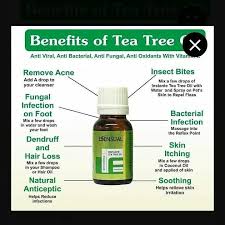 Over the last few decades, the australian tea tree oil, or melaleuca, has risen in popularity. Modicare Tea Tree Oil Benefits Modicare Dp Puthiyatheru Facebook