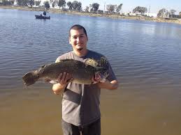 © 2021 orange county resort hotels. Best Fishing Spots In Orange County Cbs Los Angeles