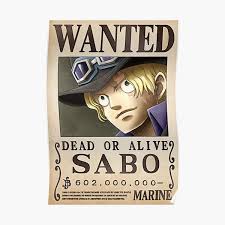 Banyak diantara mereka merupakan bajak laut dan anggota angkatan laut. One Piece Wanted Gifts Merchandise Redbubble