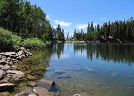 Day Hikes In Uinta Wasatch Cache National Forest Utah Adventures Hiking Places Utah Life Elevated
