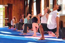200 hour vinyasa yoga teacher
