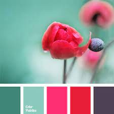 Pick your favorite color contrast from stunning turquoise color schemes. Red And Colour Of Fuchsia Color Palette Ideas