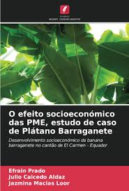 Amazon.com: O efeito socioeconómico das PME, estudo de caso de Plátano  Barraganete: Desenvolvimento socioeconómico da banana barraganete no cantão  de El Carmen