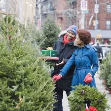 We can help, need lights, wreaths, garlands, ornaments? 11 Best Types Of Christmas Trees Real Christmas Tree Varieties 2020