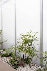 studio unravel 스튜디오언라벨 in 2020 outdoor garden furniture home flower arrangements plants