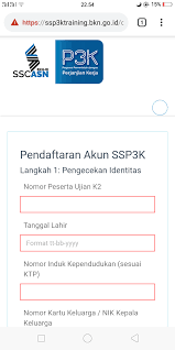 Tips dari badan kepegawaian negara (bkn) untuk kelancaran proses pendaftaran di sscasn dan sscn adalah menggunakan koneksi internet yang stabil. Ssp3k Bkn Go Id 2021 2022 Link Pendaftaran Pppk P3k Sscn Bkn