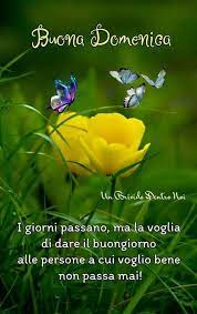 Pin Di Emiliano Pezzolla Su Saluto Il Nuovo Giorno Buona Domenica Buongiorno Domenica