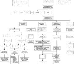 Check spelling or type a new query. Http Www Imagingpathways Health Wa Gov Au Index Php Image Galleries Medical Images Obstetric Gynaecological Id 168 Tmpl Component Format Pdf