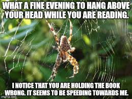 Pin By Rhonda West On Bugs Funny Spider Memes Spiders Funny Funny Old People