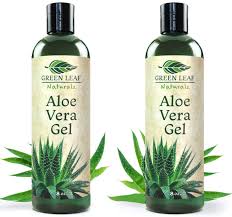 The plant is an offspring that has been separated and repotted in an ikea substrate made of coir/coconut husk. Amazon Com Green Leaf Naturals Organic Aloe Vera Gel Pure Thin Gel Formula For Skin Face And Hair 16 Ounce 2 Pack Two 8 Oz Bottles Beauty
