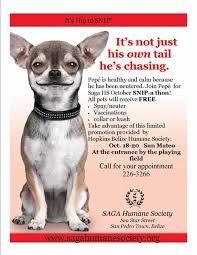 Saga HS and Hopkins HS SNIP a thon San Mateo