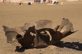 Emergency medical services said the rescues were for a 11. Fire Pits On Ocean Beach Public Art And Architecture From Around The World