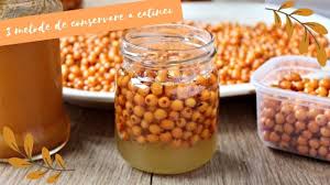 Preparatele pe baza de catina sunt recomandate in cazul afectiunilor hepatice, oculare, in caz de raceli sau viroze respiratorii, pojar, afectiuni gastroduodenale, urticarii, eczeme, ulcer gastric si ateroscleroza. 3 Metode De Conservare A CÄtinei Beneficiile Acesteia CÄtina Cu Miere Youtube