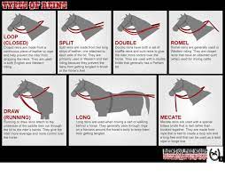 Discover More About Horseback Riding Near Me Simply Click Here For More Info Our Web Images Are A Must See Horse Facts Horse Lessons Horse Anatomy