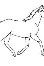 Bonjour bonjour, beaucoup d'entre vous m'ont posé la question mais je ne vois pas le challenge, où est il? et bien il se trouve. Coloriage Cheval En Ligne Gratuit A Imprimer