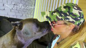 Veronica Silesto animal porn video - ZooSkool Videos - Bestiality sex