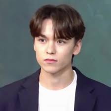 Svt Vernon Smile