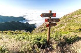 Le voyage à madère rime avec écotourisme. 7 Raisons De Faire Un Road Trip A Madere Carigami Le Magazine