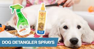 5 Best Dog Detangler Sprays For Knots Matted Fur 2021