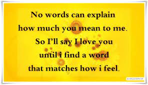 No Words Can Explain How Much You Mean To Me Silver Quotes