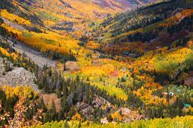 The community staff is ready to help you find the perfect place to live. Aspen Valley In Colorado During Autumn Time Stock Photo Picture And Royalty Free Image Image 9071132
