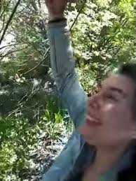 Way up in the sky The little birds fly 🐦