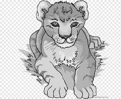 Precios bajos en la selección más grande del mundo en libros. Libro Blanco Y Negro Leon Tigre Puma Libro Para Colorear Blanco Y Negro Fauna Cara Figura Animal En Blanco Y Negro Gato Png Pngwing