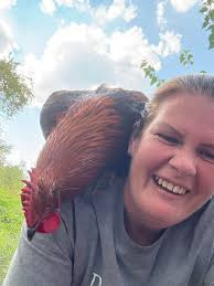 Anyone else chickens jump