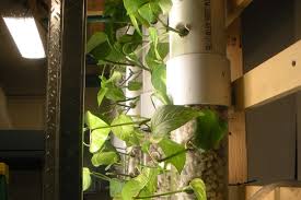 The garden factory has been part of rochester for over 47 years. Scott Wolcott Rit
